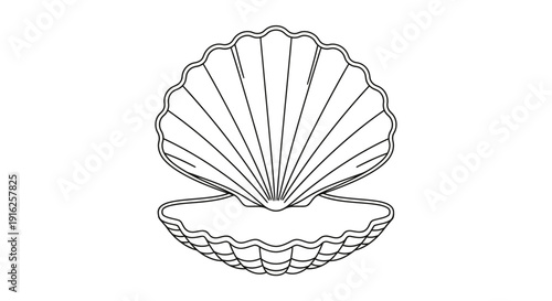 Open Seashell Outline Vector Illustration