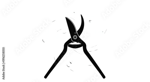 A set of sharp steel scissors and metal cutting tools with black handles and blades isolated on a white background for work