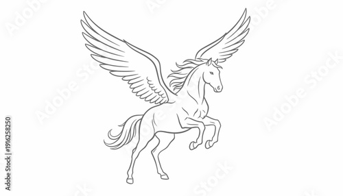 Mythical Pegasus Horse with Majestic Wings, Outline Drawing