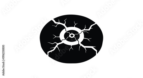 Striking black and white cracked circle graphic, evocative of a fractured eye or a damaged target, representing rupture, stress, and vulnerability in design