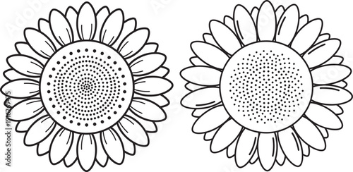Outline illustration of two sunflowers with intricate petal and seed patterns, symbolizing summer, nature, and organic beauty.