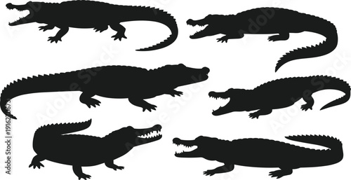 Collection of crocodile and alligator silhouettes in various poses with open jaws and walking positions, wild reptile animal vector set.