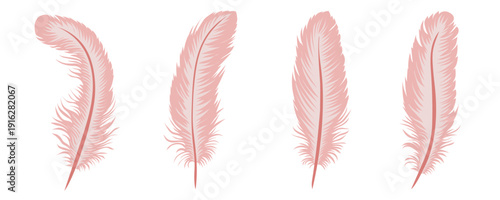 Coral feathers set. Collection of featuring different sizes and shapes for creative design. Exotic feather bird. Vector illustration