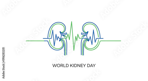 World kidney day awareness illustration with stylized kidney heartbeat line art on white background