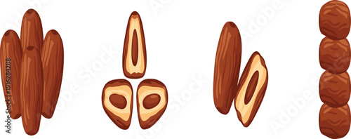 Dates Fruit Illustration Set Whole and Sliced Sweet Dried Palm Fruit Healthy Organic Snack Vector Collection
