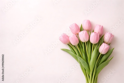 Bouquet of pink tulips on a white background, top view, place for text for March 8th, Women's Day