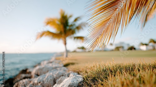 A soft focus image showcasing a palm tree and a blue skyline emits a sense of calm and relaxation, reflecting a vibrant tropical atmosphere during sunny weather.