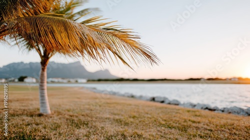A picturesque palm tree stands by the tranquil lakeside, capturing the essence of a beautiful sunset against distant mountains, creating a perfect moment for relaxation.