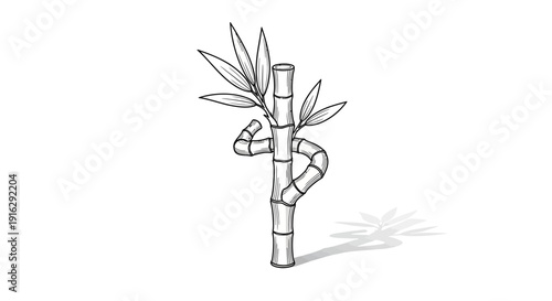 Lucky Bamboo Plant Sketch with Shadow - Minimalist Line Art Illustration