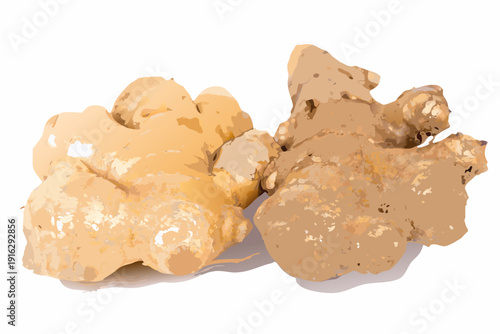Two pieces of fresh ginger root isolated on a white background