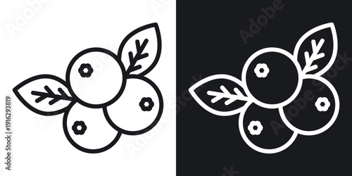Blueberry icon setin black and white stroke lines