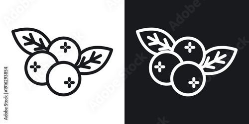 Blueberry icon set in black and white stroke lines