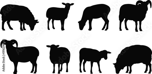 Sheep silhouettes set farm livestock flat vector illustration isolated on white background domestic animal clipart collection bundle design