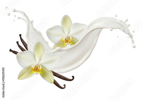 Splashing milk with orchids and vanilla bean ideal for design on transparent background