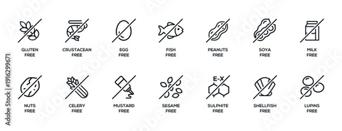Isolated Vector Logo Set Badge Ingredient Warning Label. Simple  Allergens icons. Food Intolerance. The 14 allergens required to declare written in english. Free