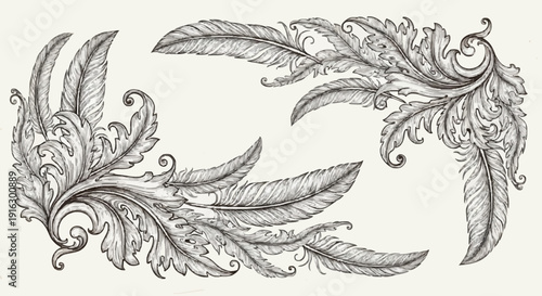 Ornate Black and White Floral Design Elements.
