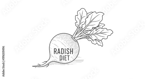 Radish Diet Illustration: Healthy Eating Concept with Fresh Radish and Greens