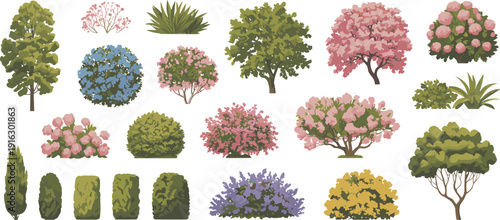 Blooming Garden Trees and Flowering Shrubs Collection, Ornamental Landscape Plants and Decorative Hedge Elements, Detailed Botanical Illustration Set Isolated on Light Background