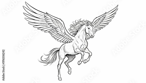 Majestic Pegasus Horse with Spreading Wings, Mythical Creature, Fantasy Art, Line Drawing