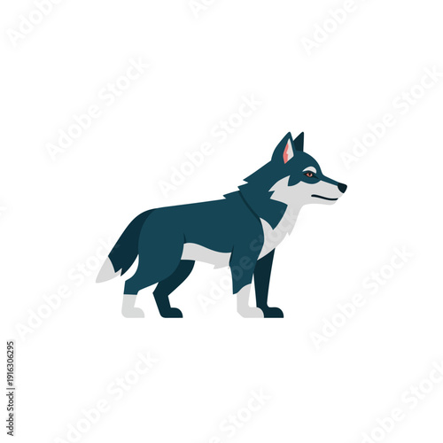Alert wolf standing profile view, dark blue and white fur, wild animal illustration
