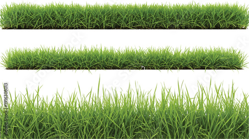 Three vibrant green grass strips isolated on a clean white background, showcasing fresh healthy natural lawn texture.