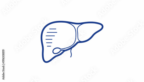Human Liver Anatomy Icon Vector Illustration