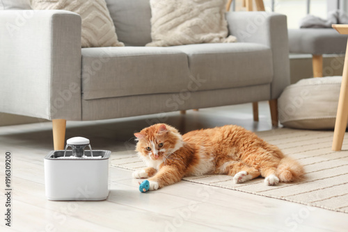 Tableau sur toile Cute ginger cat with automatic water fountain and pet toy lying on floor in livi