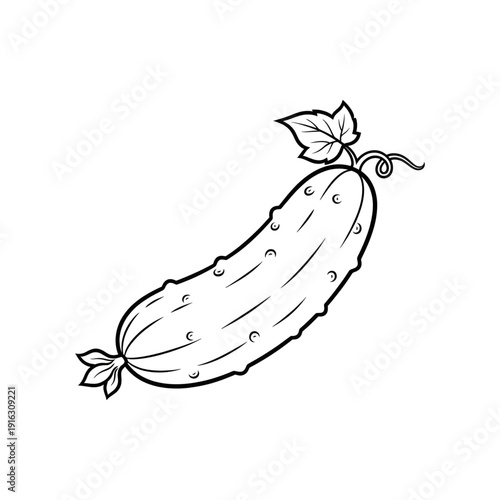 Cucumber Vegetable Line Art Illustration – Hand-Drawn Outline for Coloring Pages and Clipart