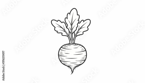 Hand-drawn illustration of a single fresh beet with green leaves, isolated on white background