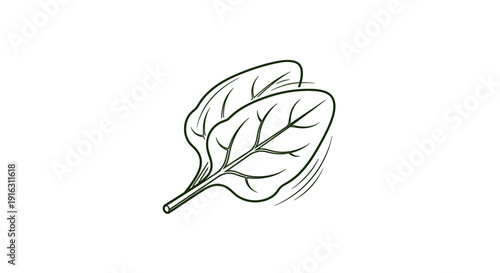 Hand-drawn illustration of fresh spinach leaves with veins, isolated on white background.