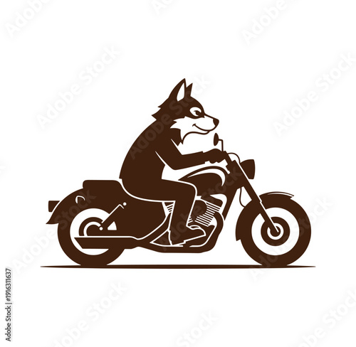 Brown wolf riding motorcycle on white background  animal on bike