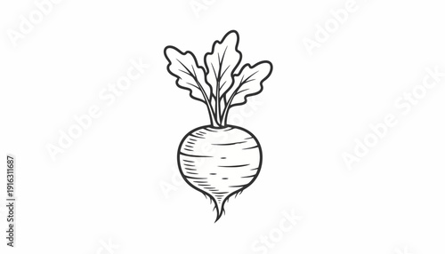 Hand-drawn sketch of a fresh beetroot with green leaves, isolated on white background.