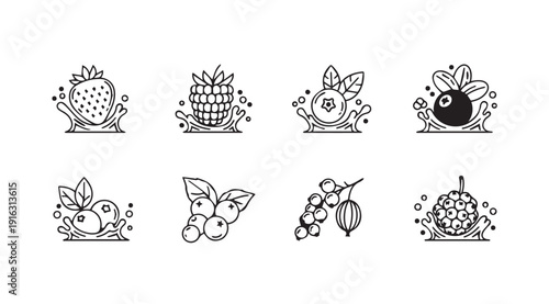 Assorted Berries with Water Splashes Line Art Icons Set