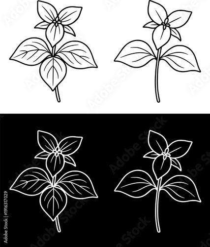 Plant icon, vector illustration of trillium, black and white with outline design, in original and negative versions
