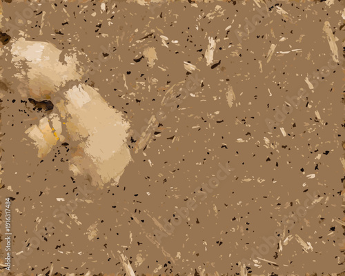 Close up view of textured sandy ground with scattered debris