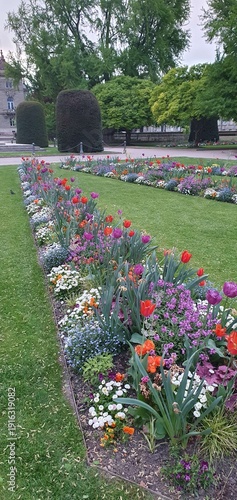 Phone photo of a city square lawn planted with red, purple, and green flowers. Urban garden scene showing public landscaping, color contrast, and everyday outdoor space.