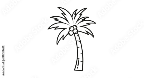 Simple Line Drawing of a Coconut Palm Tree with Coconuts