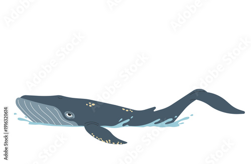 海洋生物や自然をテーマにした大きなクジラの躍動感あるフラットデザインイラスト