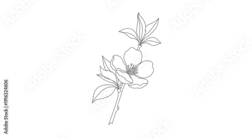 Minimalist Line Art of a Delicate Blooming Flower Branch with Leaves