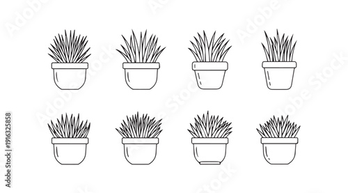 Set of eight potted succulent plants line art illustration graphic design elements