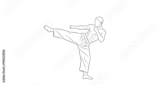 Martial Arts Fighter Performing Side Kick in Minimalist Line Art Style
