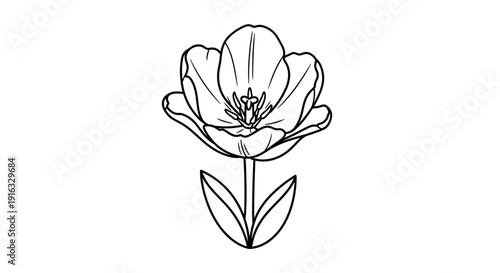 Elegant Tulip Flower Outline Drawing, Simple Botanical Illustration, Black and White Line Art