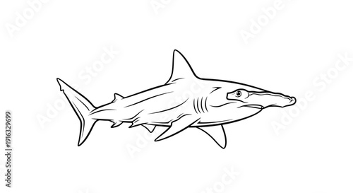Hammerhead Shark Outline Drawing - Marine Life Illustration