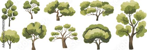 Green deciduous trees collection isolated on white background, hand drawn forest tree set for landscape design, nature illustration and environmental concept