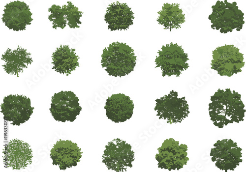 Green tree top view collection isolated on white background, detailed forest canopy set for landscape design, map elements and botanical illustration