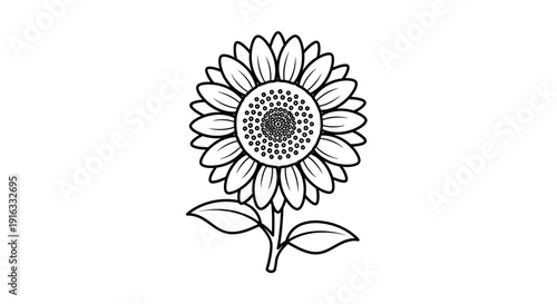 Black and White Outline Sunflower Illustration, Simple Line Art Flower Drawing