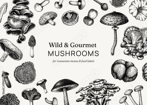 Culinary mushrooms hand drawn vector illustration. Wild fungi frame for restaurant menu design and healthy food products.  NOT AI generated