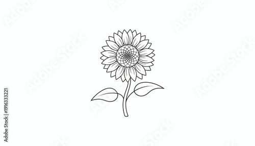 Simple Line Drawing of a Sunflower with Leaves on White Background
