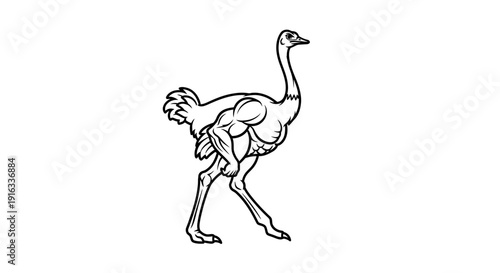 Muscular Ostrich Walking with Strong Legs - Funny Animal Illustration