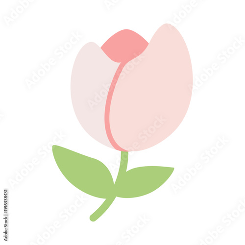 Illustration of a Pink Tulip Flower